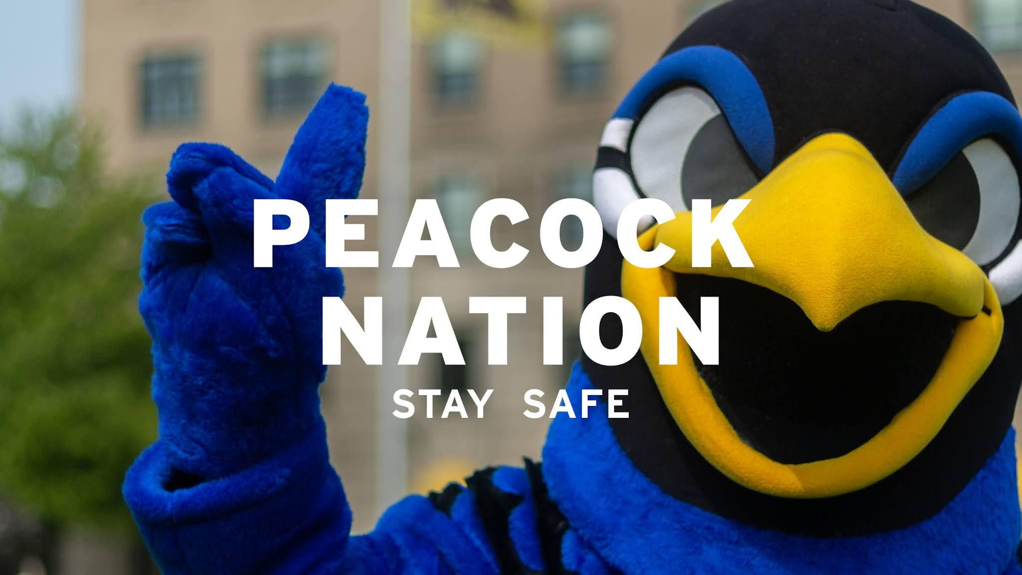an image of the CCS mascot, watson outside on the campus with white text that says "Peacock Nation Stay Safe"