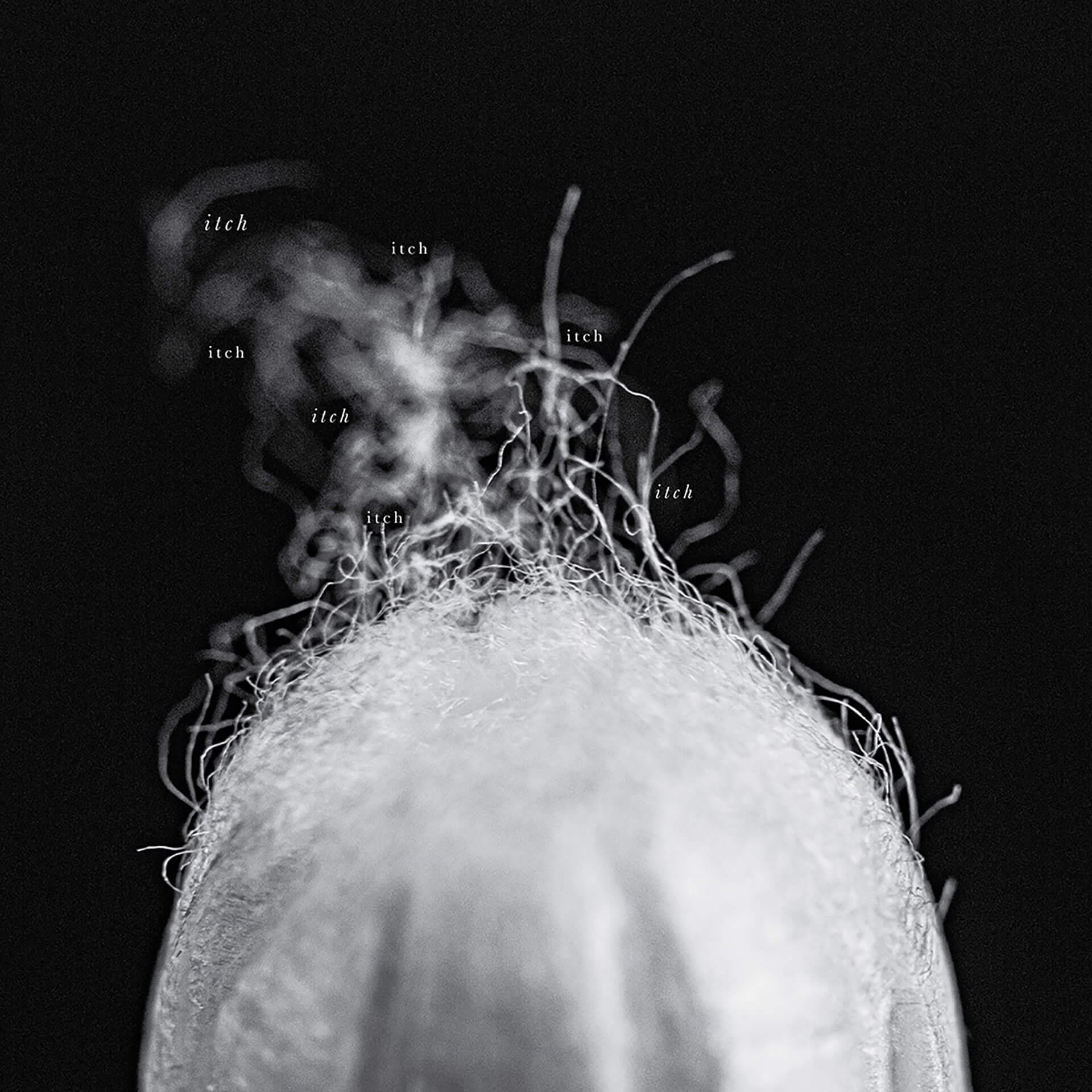 An extreme black and white closeup of the top of a tampon. In between the fibers of cotton is small white text that says "itch".